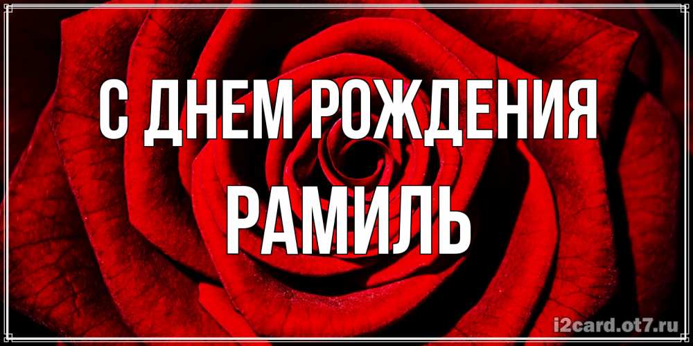 Открытка на каждый день с именем, Рамиль С днем рождения алая роза Прикольная открытка с пожеланием онлайн скачать бесплатно 