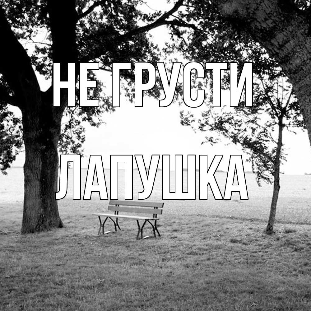 Открытка на каждый день с именем, лапушка Не грусти мощное дерево Прикольная открытка с пожеланием онлайн скачать бесплатно 