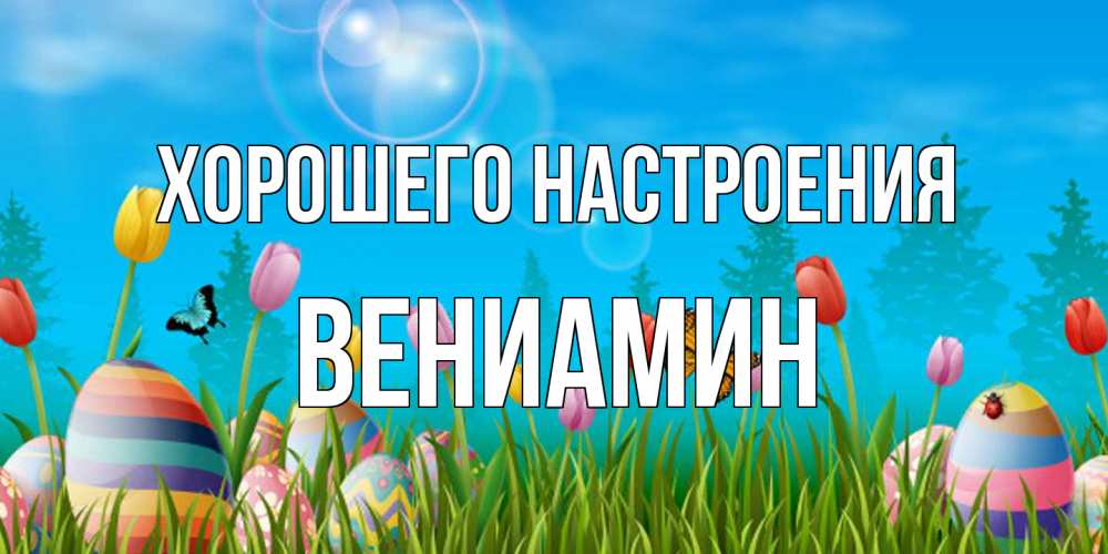 Открытка на каждый день с именем, Вениамин Хорошего настроения небо и тюльпаны с бабочкой Прикольная открытка с пожеланием онлайн скачать бесплатно 