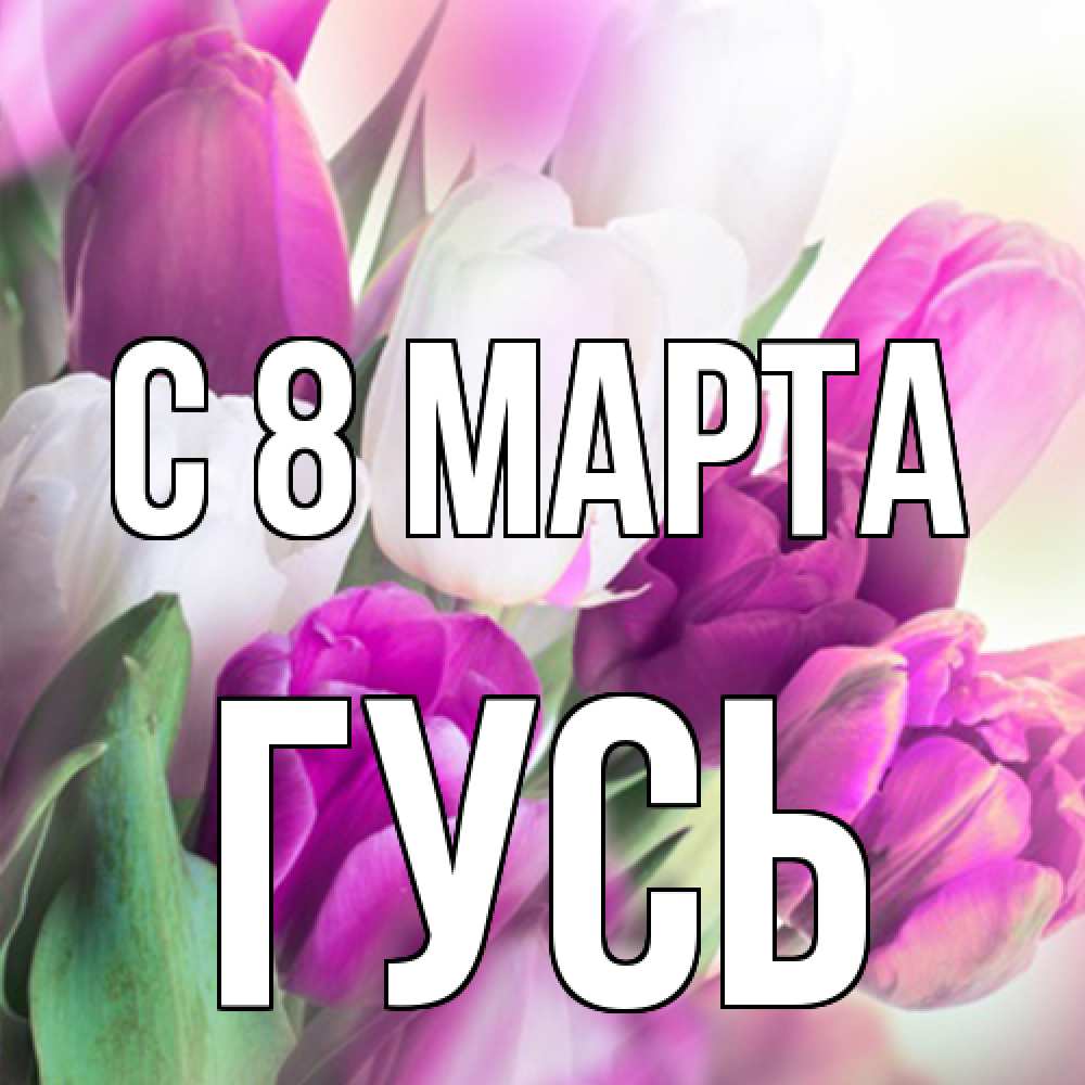 Открытка на каждый день с именем, Гусь C 8 МАРТА весна 1 Прикольная открытка с пожеланием онлайн скачать бесплатно 