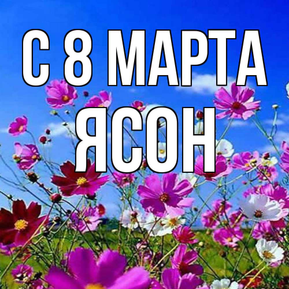 Открытка на каждый день с именем, Ясон C 8 МАРТА цветы Прикольная открытка с пожеланием онлайн скачать бесплатно 