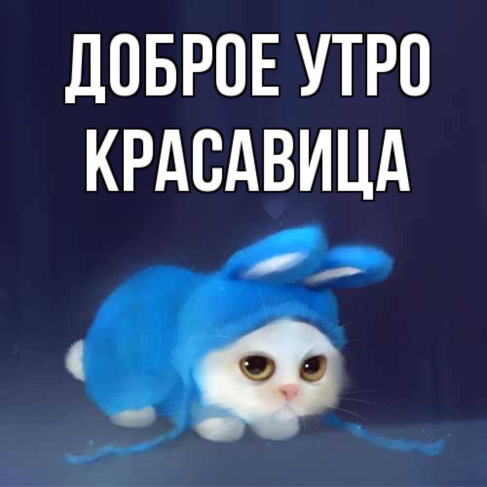 Открытка на каждый день с именем, Красавица Доброе утро открытки красивые скачать бесплатно Прикольная открытка с пожеланием онлайн скачать бесплатно 