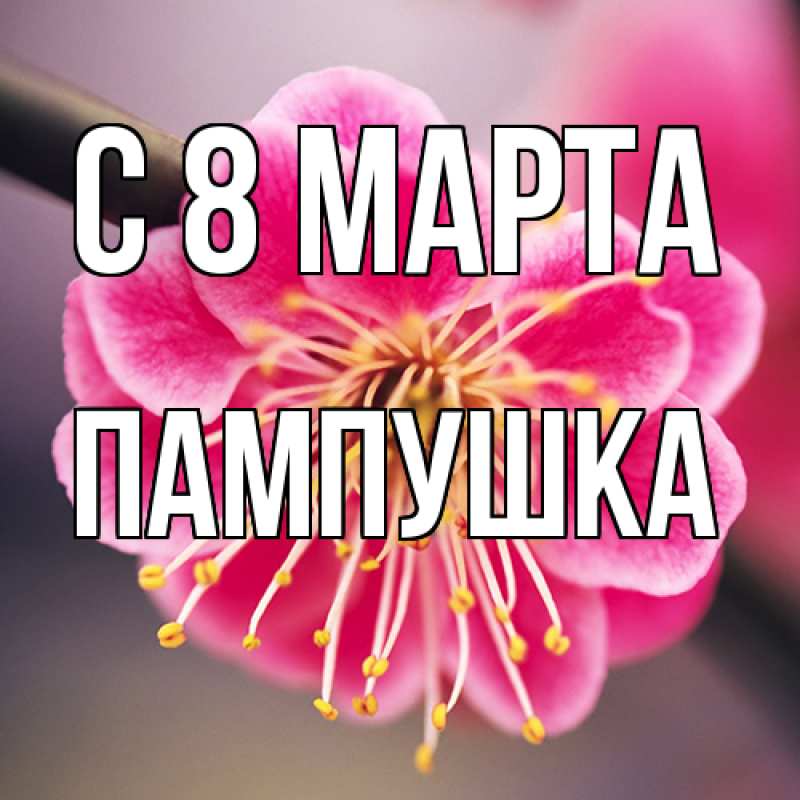 Картинка C 8 МАРТА, Пампушка