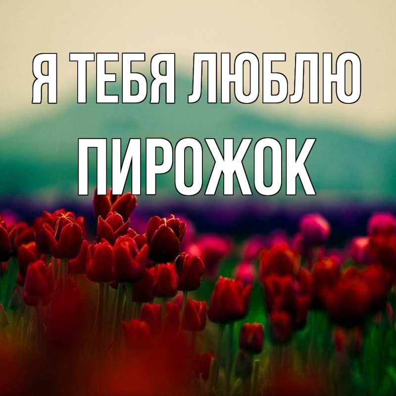 Картинка Я тебя люблю, пирожок