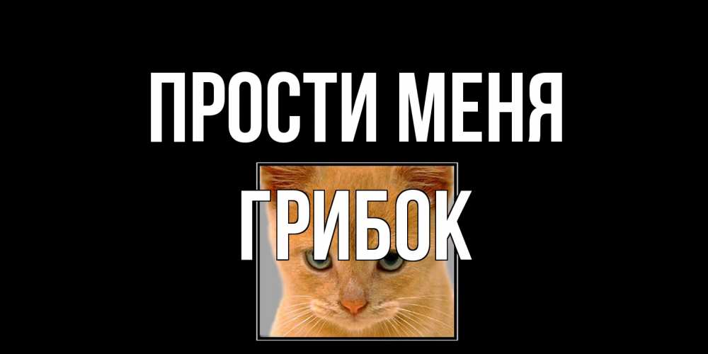 Открытка на каждый день с именем, Грибок Прости меня рыжий грустный кот просит прощения Прикольная открытка с пожеланием онлайн скачать бесплатно 