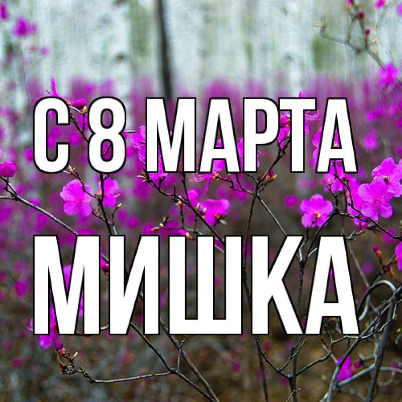 Открытка с именем, Мишка, C 8 МАРТА