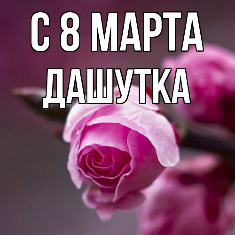 Открытка на каждый день с именем, Дашутка C 8 МАРТА весна Прикольная открытка с пожеланием онлайн скачать бесплатно 