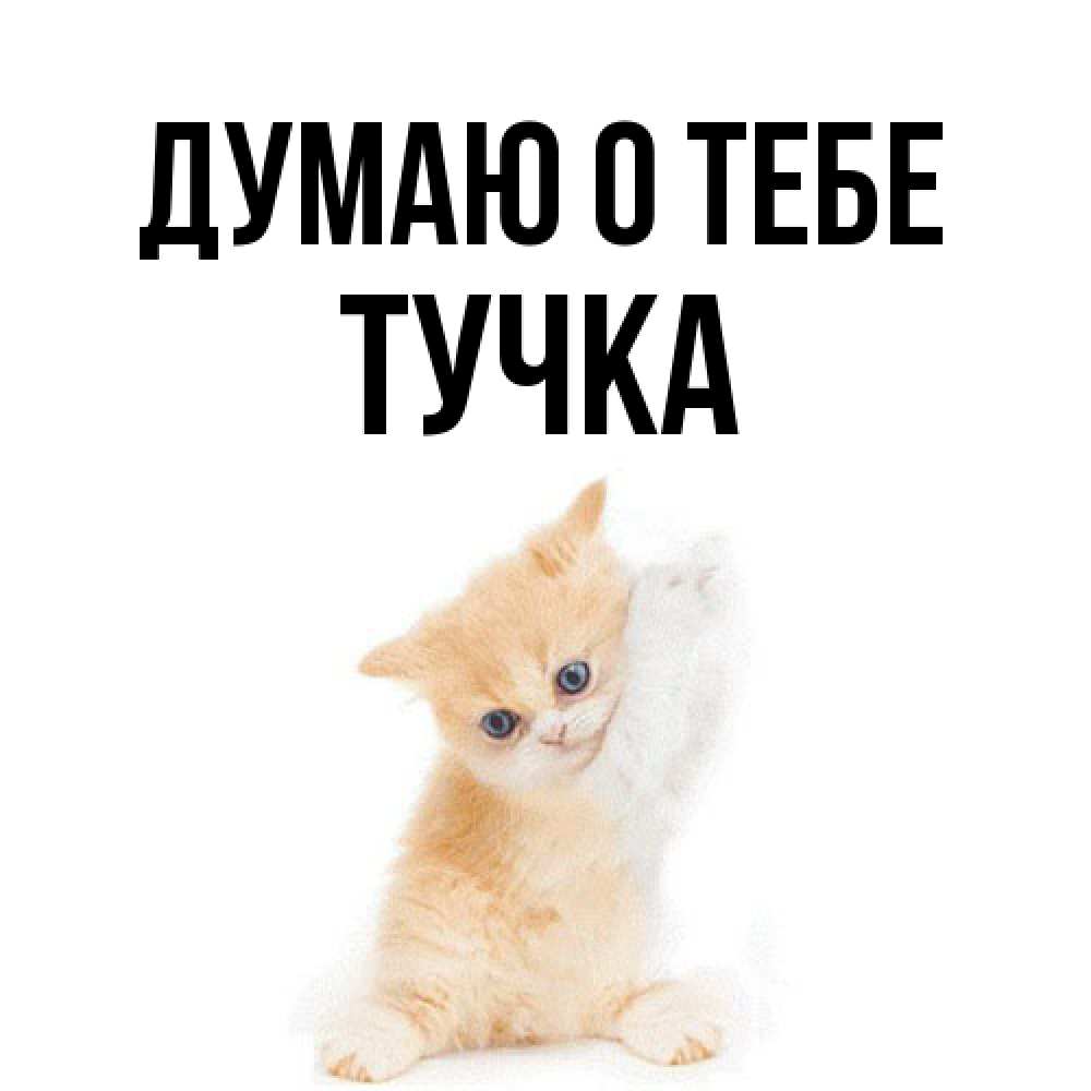 Открытка на каждый день с именем, Тучка Думаю о тебе зверушки и милота Прикольная открытка с пожеланием онлайн скачать бесплатно 
