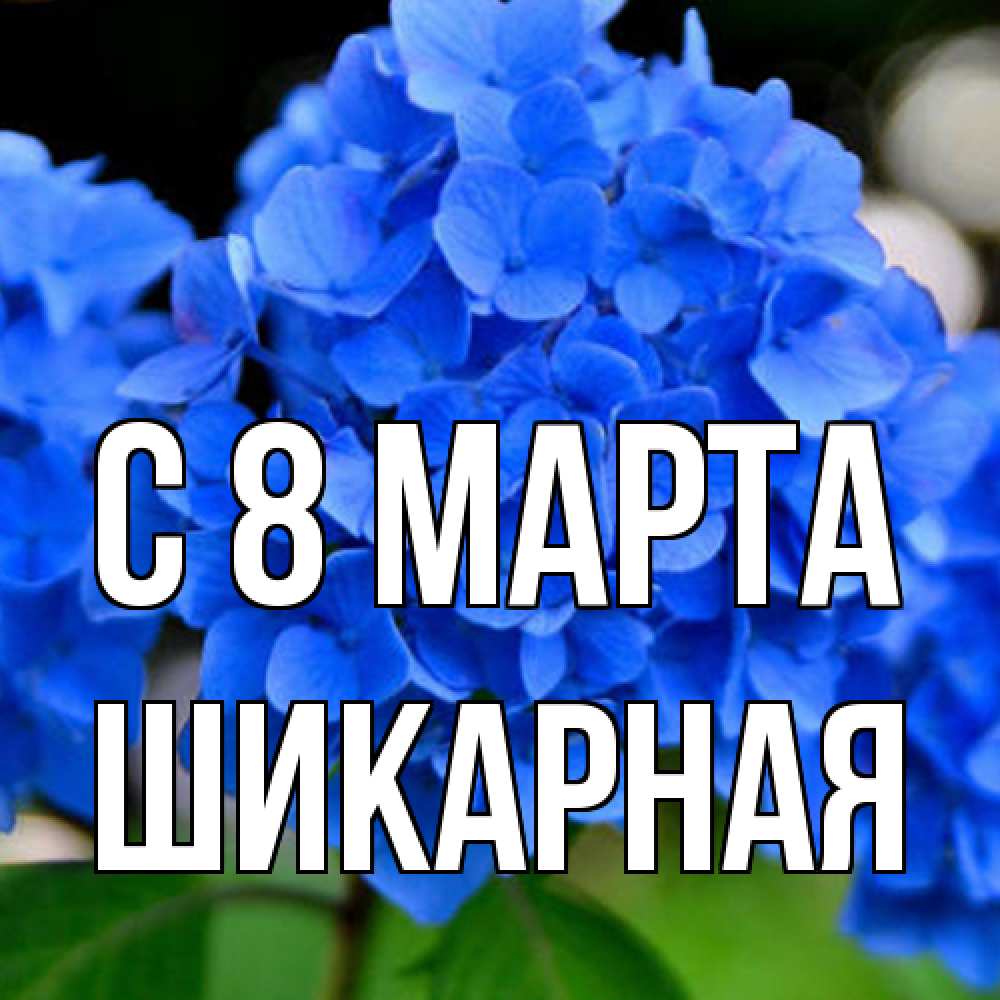 Открытка на каждый день с именем, шикарная C 8 МАРТА синие цветы Прикольная открытка с пожеланием онлайн скачать бесплатно 