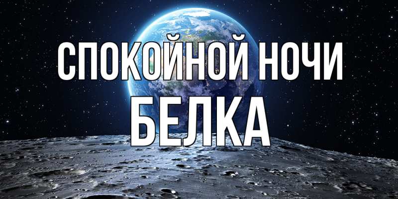 Картинка Спокойной ночи, Белка