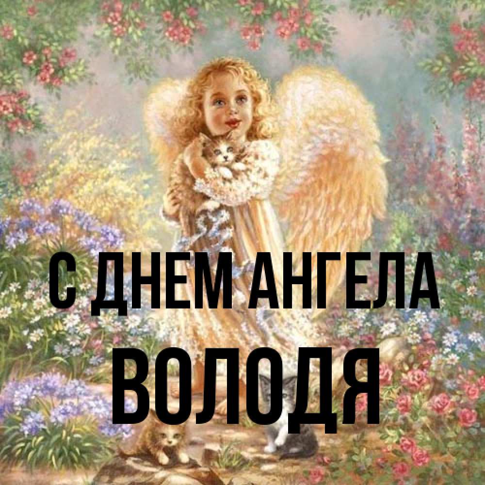 Открытка на каждый день с именем, Володя С днем ангела держит котенка Прикольная открытка с пожеланием онлайн скачать бесплатно 