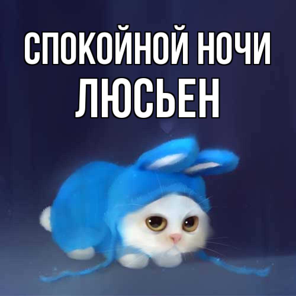 Открытка на каждый день с именем, Люсьен Спокойной ночи кот в голубом костюме кролика с ушками Прикольная открытка с пожеланием онлайн скачать бесплатно 
