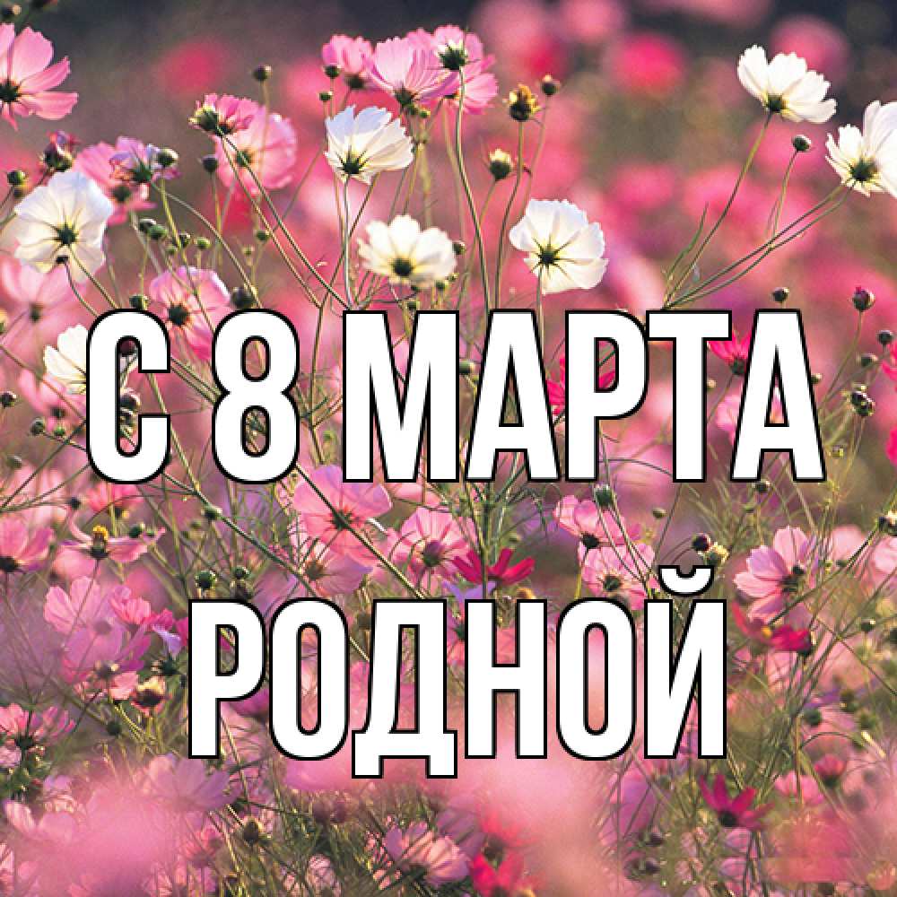 Открытка на каждый день с именем, Родной C 8 МАРТА красиво 1 Прикольная открытка с пожеланием онлайн скачать бесплатно 