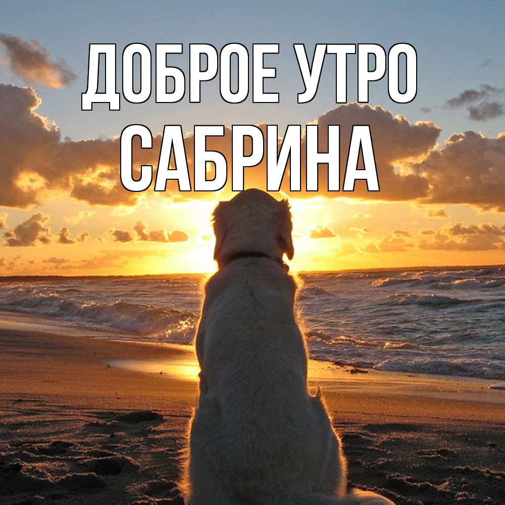 Открытка на каждый день с именем, Сабрина Доброе утро восход солнца Прикольная открытка с пожеланием онлайн скачать бесплатно 