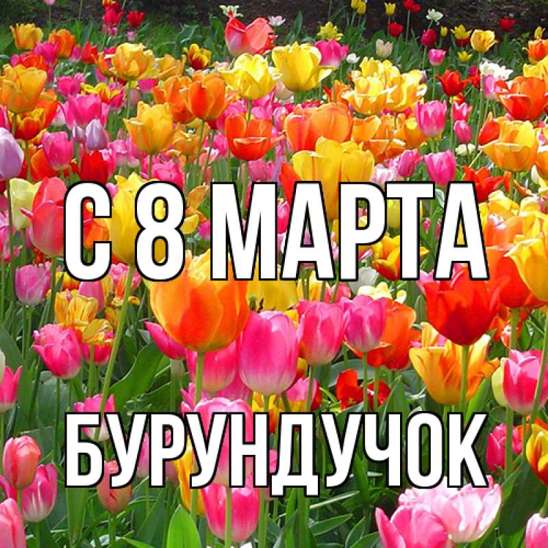 Картинка C 8 МАРТА, бурундучок