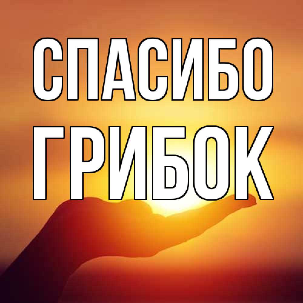 Открытка на каждый день с именем, Грибок Спасибо закат Прикольная открытка с пожеланием онлайн скачать бесплатно 