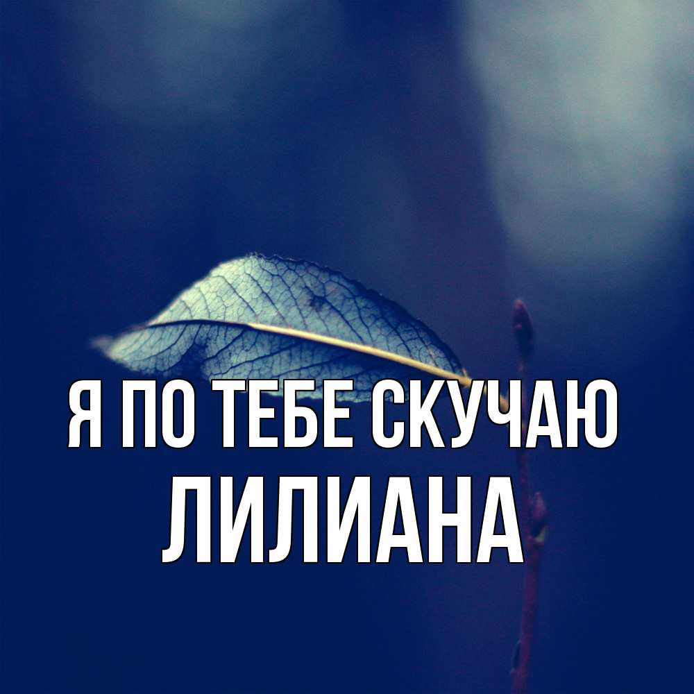 Открытка на каждый день с именем, Лилиана Я по тебе скучаю одна ветка 1 Прикольная открытка с пожеланием онлайн скачать бесплатно 