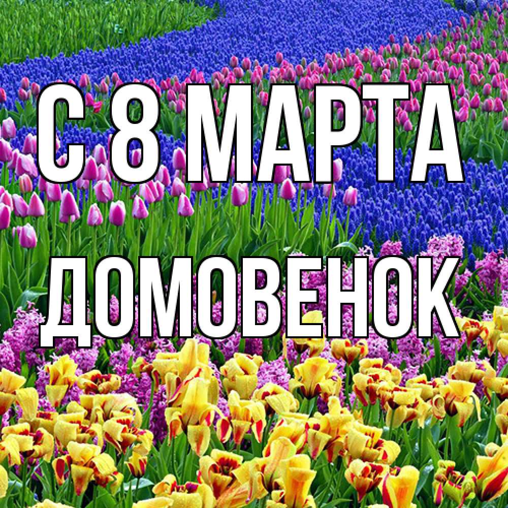 Открытка на каждый день с именем, Домовенок C 8 МАРТА цветы Прикольная открытка с пожеланием онлайн скачать бесплатно 