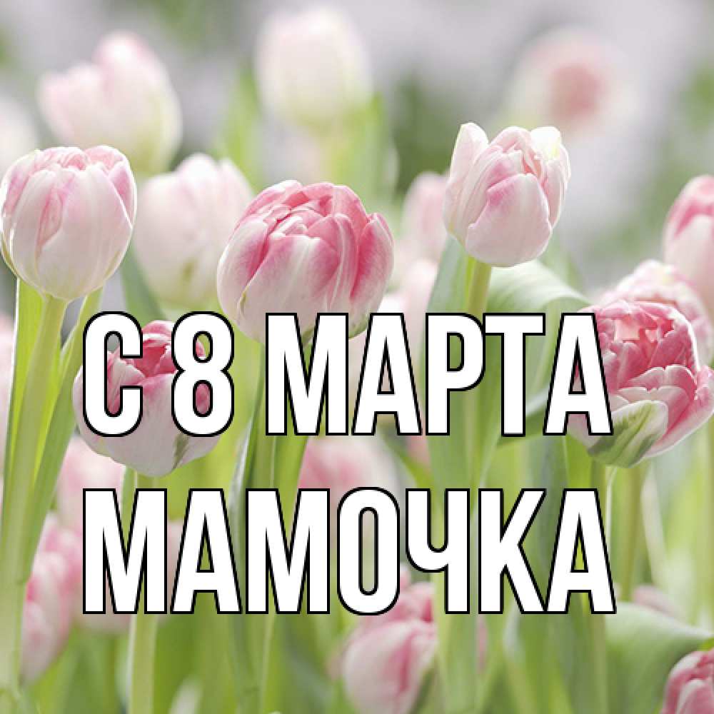 Открытка на каждый день с именем, Мамочка C 8 МАРТА цветы Прикольная открытка с пожеланием онлайн скачать бесплатно 