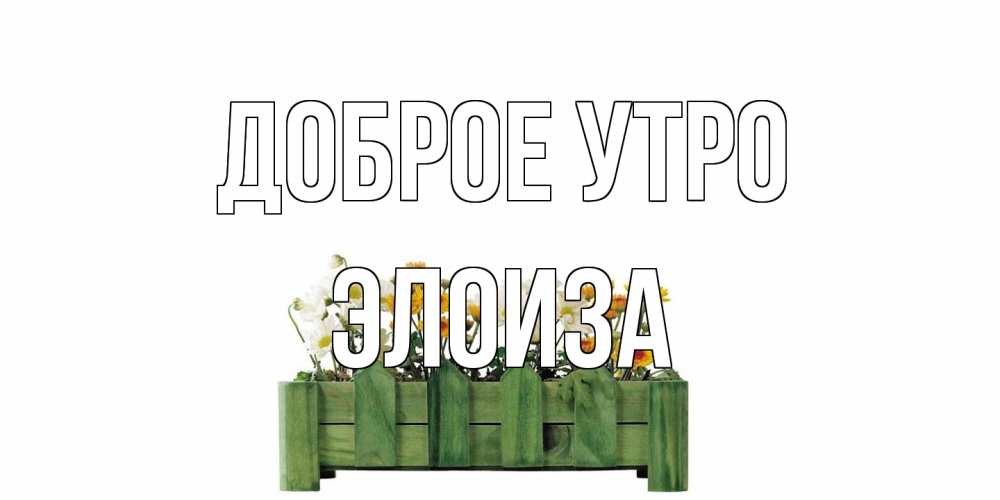 Открытка на каждый день с именем, Элоиза Доброе утро цветы Прикольная открытка с пожеланием онлайн скачать бесплатно 