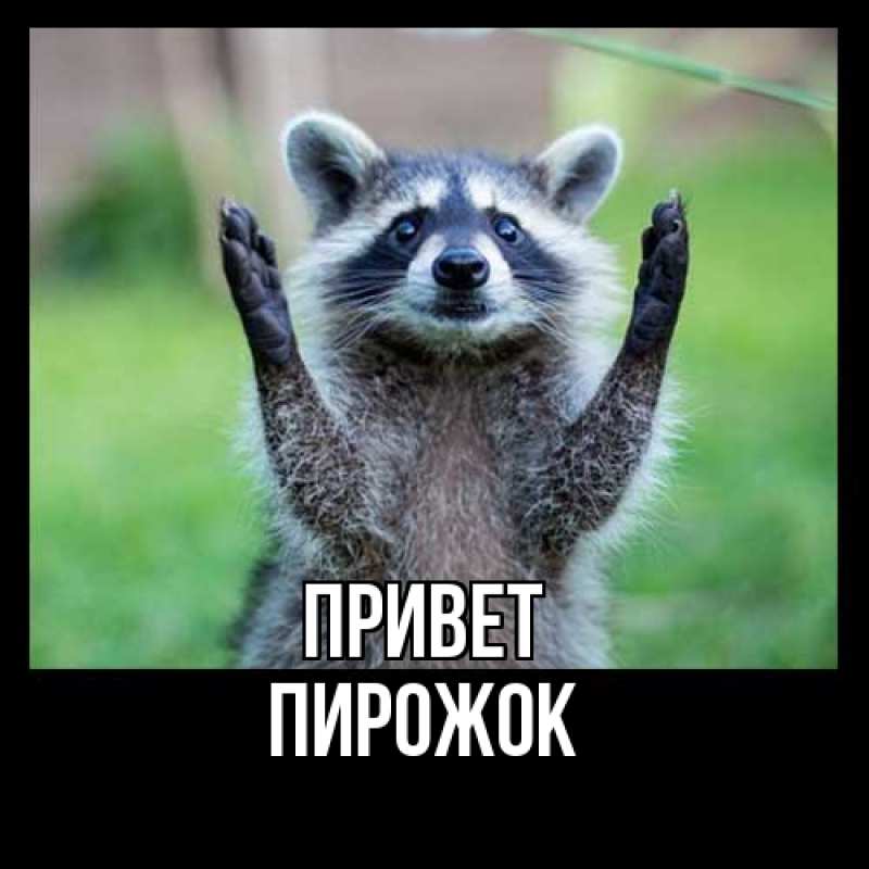 Картинка Привет, пирожок