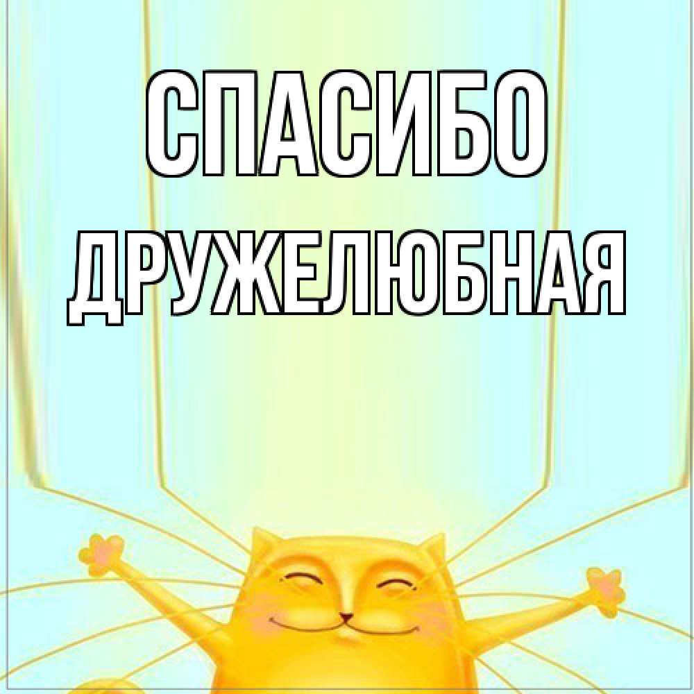 Открытка на каждый день с именем, Дружелюбная Спасибо кот с усами благодарит Прикольная открытка с пожеланием онлайн скачать бесплатно 