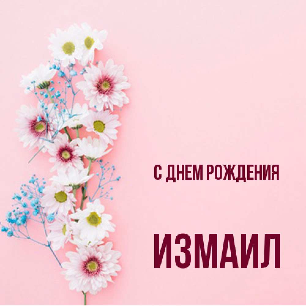 Открытка на каждый день с именем, Измаил С днем рождения Родная моя с днем рождения тебя картинка с цветами белыми и голубыми Прикольная открытка с пожеланием онлайн скачать бесплатно 