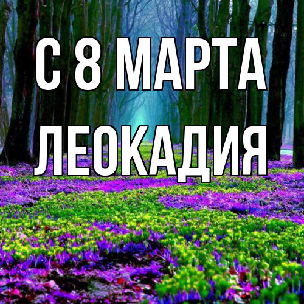 Открытка на каждый день с именем, Леокадия C 8 МАРТА фиолетовые цветы в лесу 1 Прикольная открытка с пожеланием онлайн скачать бесплатно 