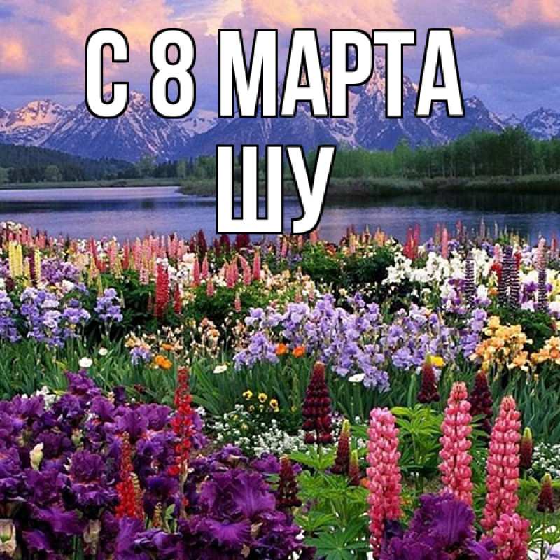 Картинка C 8 МАРТА, Шу
