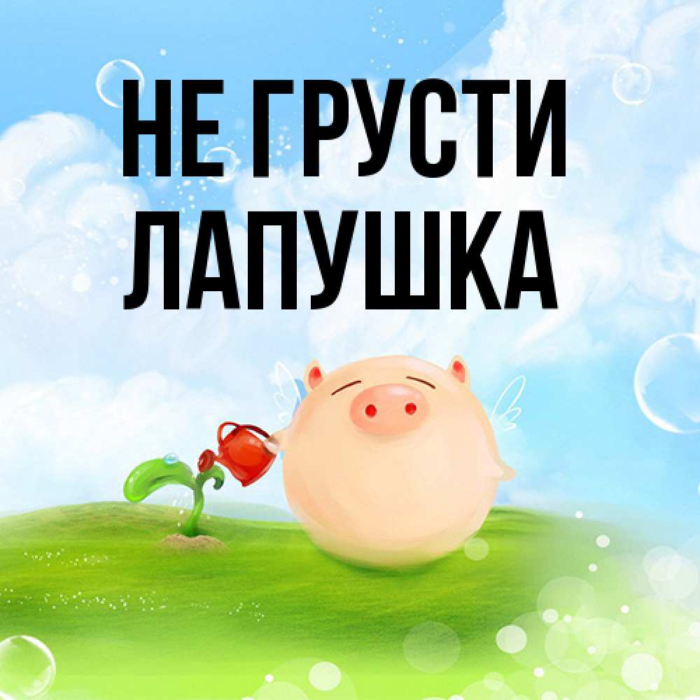 Открытка на каждый день с именем, лапушка Не грусти поливает цветок порося Прикольная открытка с пожеланием онлайн скачать бесплатно 
