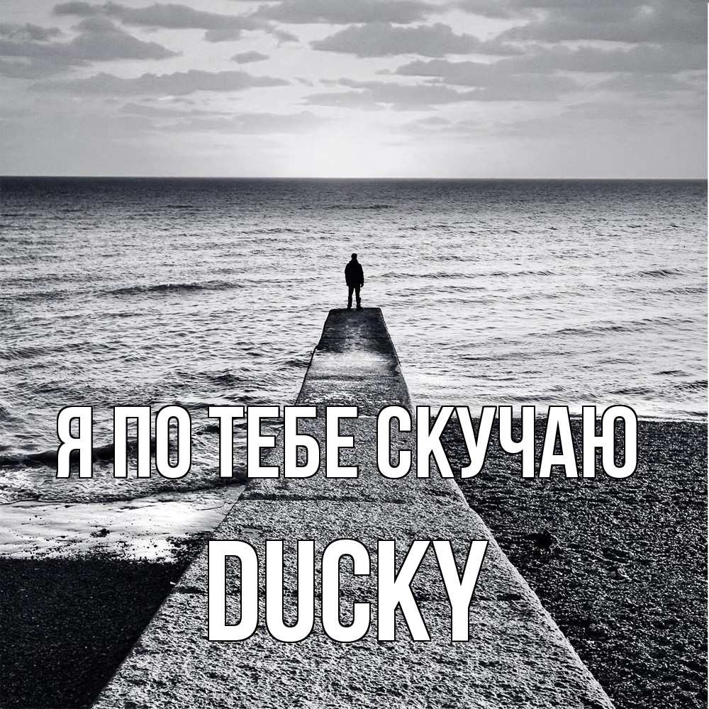 Открытка на каждый день с именем, Ducky Я по тебе скучаю скучашки Прикольная открытка с пожеланием онлайн скачать бесплатно 