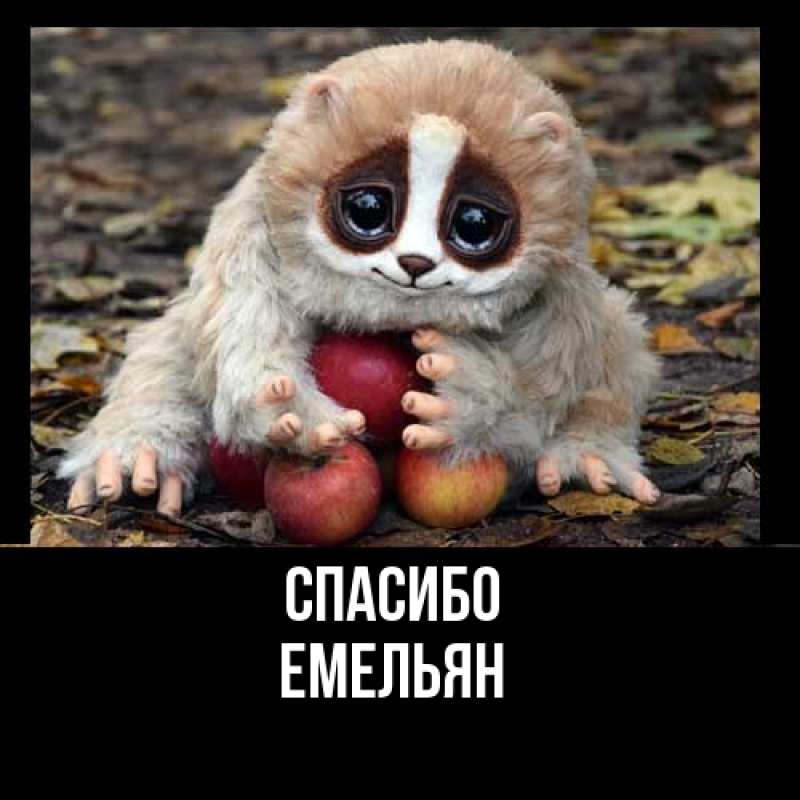 Картинка Спасибо, Емельян