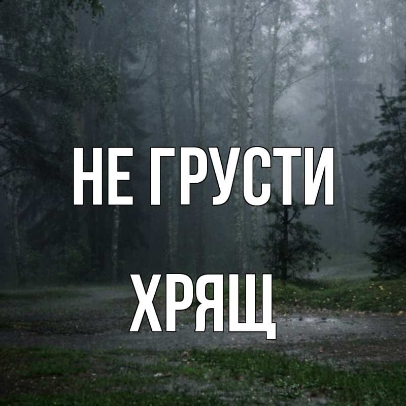 Картинка Не грусти, Хрящ