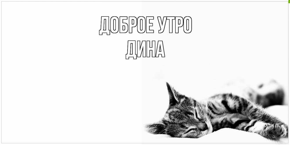 Открытка на каждый день с именем, Дина Доброе утро котуся Прикольная открытка с пожеланием онлайн скачать бесплатно 