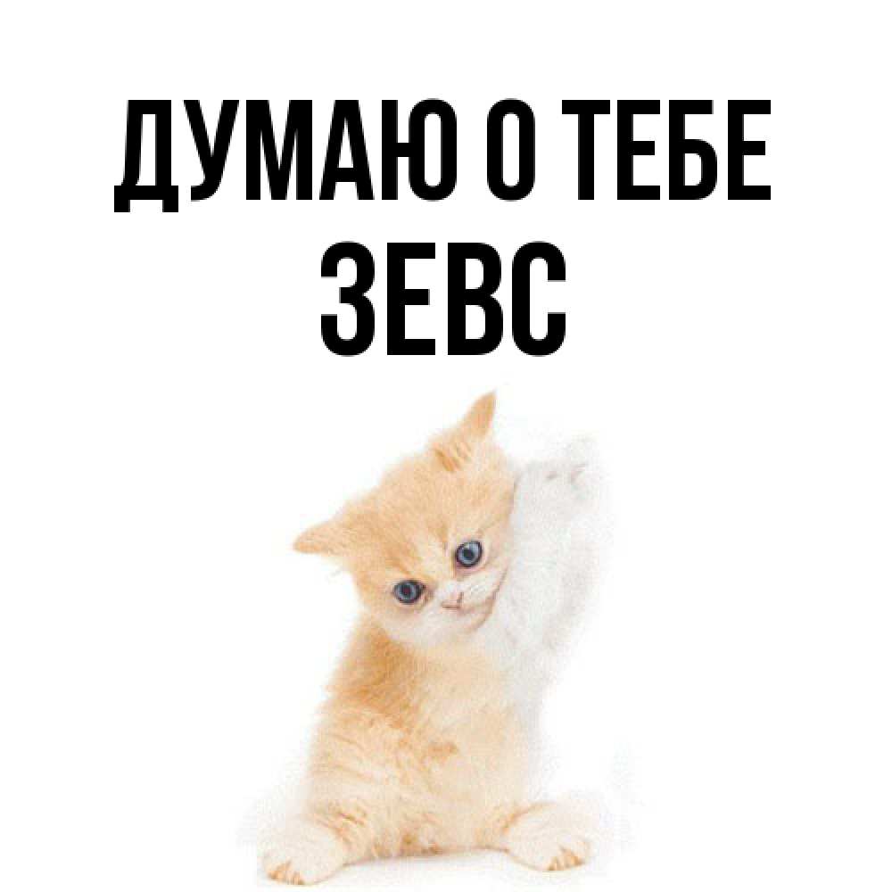 Открытка на каждый день с именем, Зевс Думаю о тебе зверушки и милота Прикольная открытка с пожеланием онлайн скачать бесплатно 