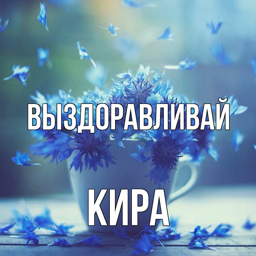 Открытка на каждый день с именем, Кира Выздоравливай кружка с зельем и цветами Прикольная открытка с пожеланием онлайн скачать бесплатно 