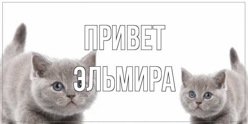 Открытка с именем, Эльмира, Привет