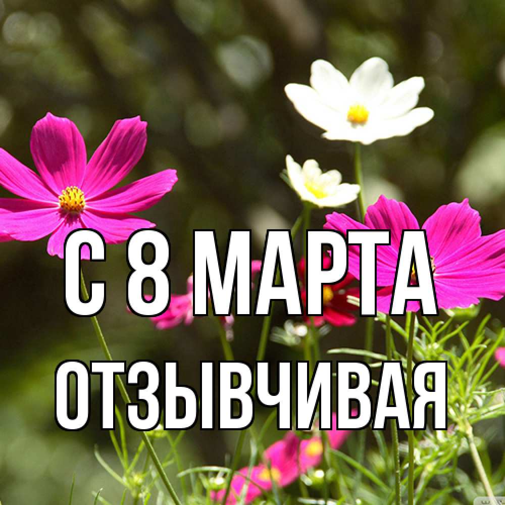 Открытка на каждый день с именем, Отзывчивая C 8 МАРТА цветы Прикольная открытка с пожеланием онлайн скачать бесплатно 