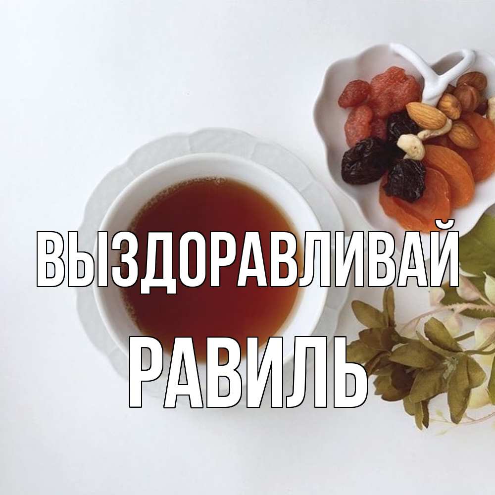 Открытка на каждый день с именем, Равиль Выздоравливай неизвестные растения Прикольная открытка с пожеланием онлайн скачать бесплатно 