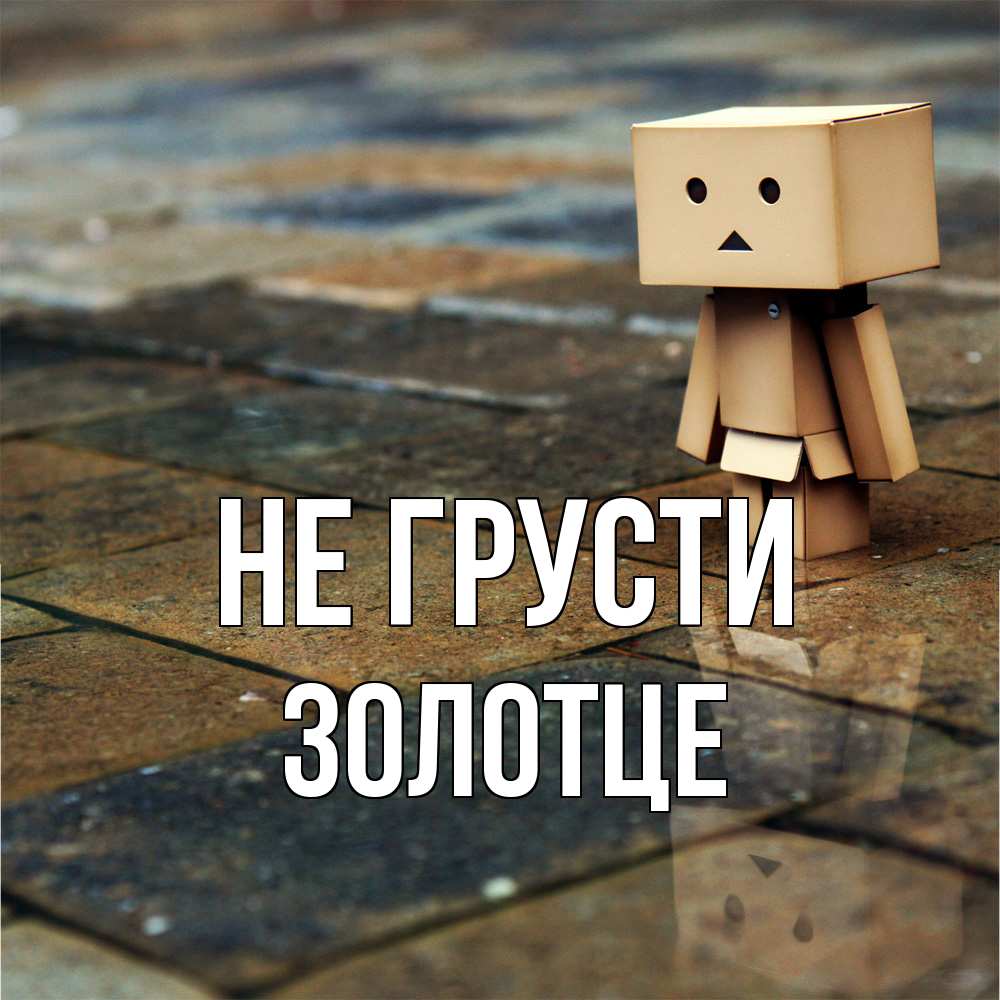 Открытка на каждый день с именем, Золотце Не грусти Стив Прикольная открытка с пожеланием онлайн скачать бесплатно 