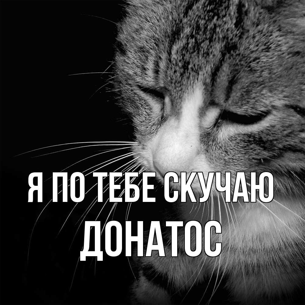 Открытка на каждый день с именем, Донатос Я по тебе скучаю мне скучно Прикольная открытка с пожеланием онлайн скачать бесплатно 