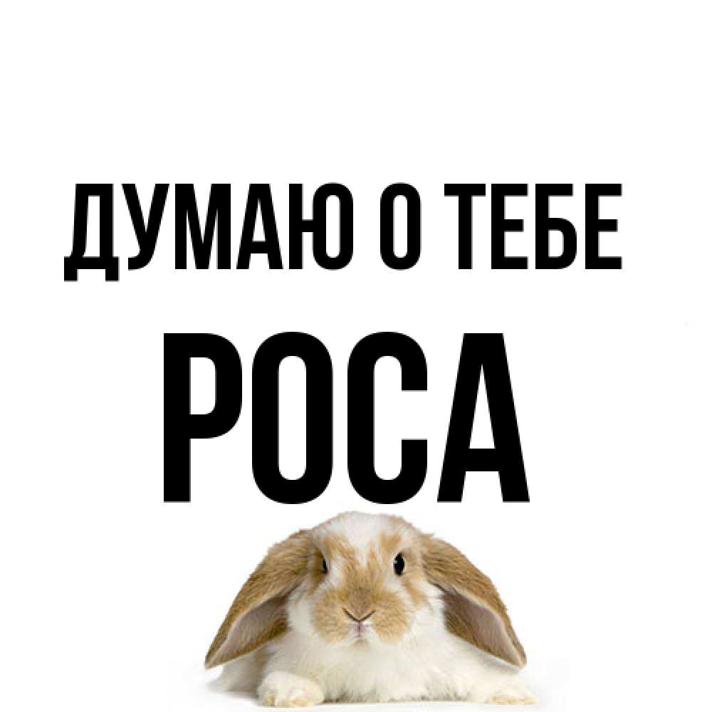 Открытка на каждый день с именем, Роса Думаю о тебе подписать своими руками онлайн Прикольная открытка с пожеланием онлайн скачать бесплатно 