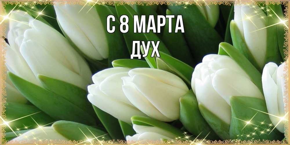 Открытка на каждый день с именем, Дух C 8 МАРТА поздравляем с 8 марта Прикольная открытка с пожеланием онлайн скачать бесплатно 