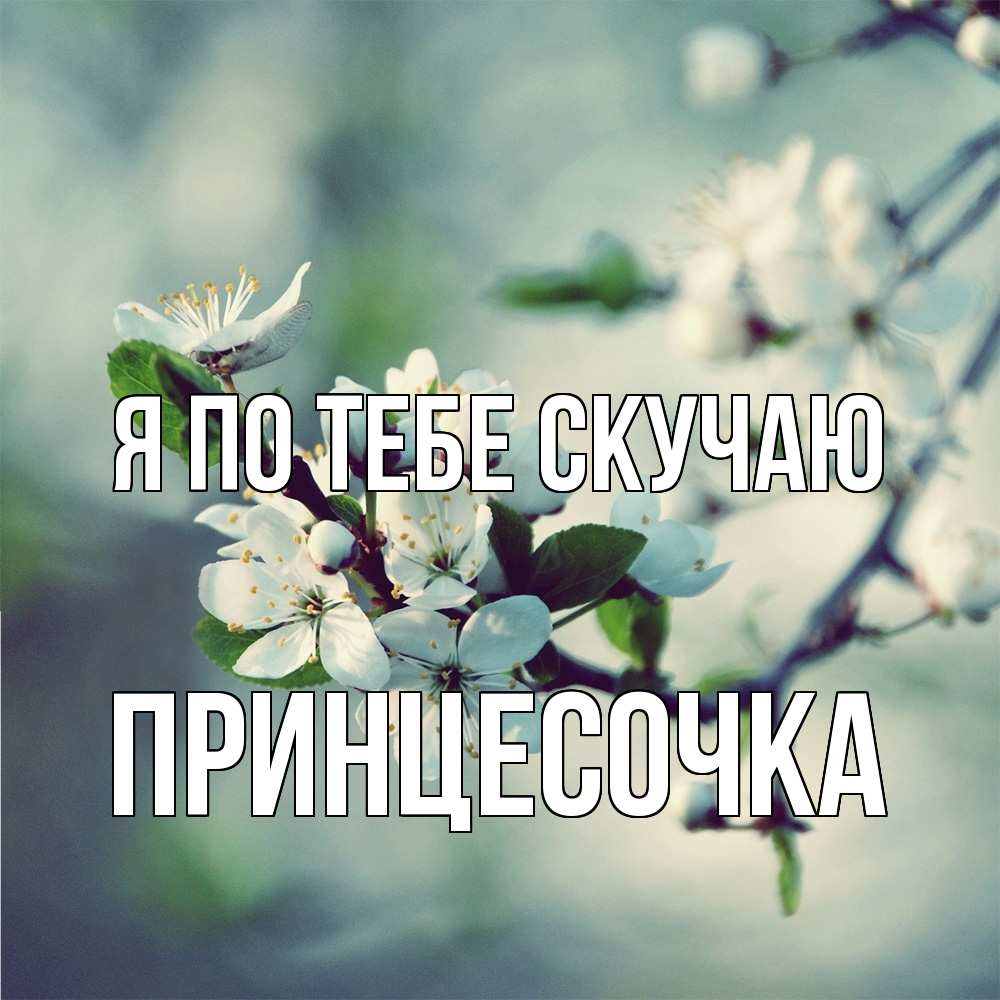 Открытка на каждый день с именем, Принцесочка Я по тебе скучаю весна Прикольная открытка с пожеланием онлайн скачать бесплатно 