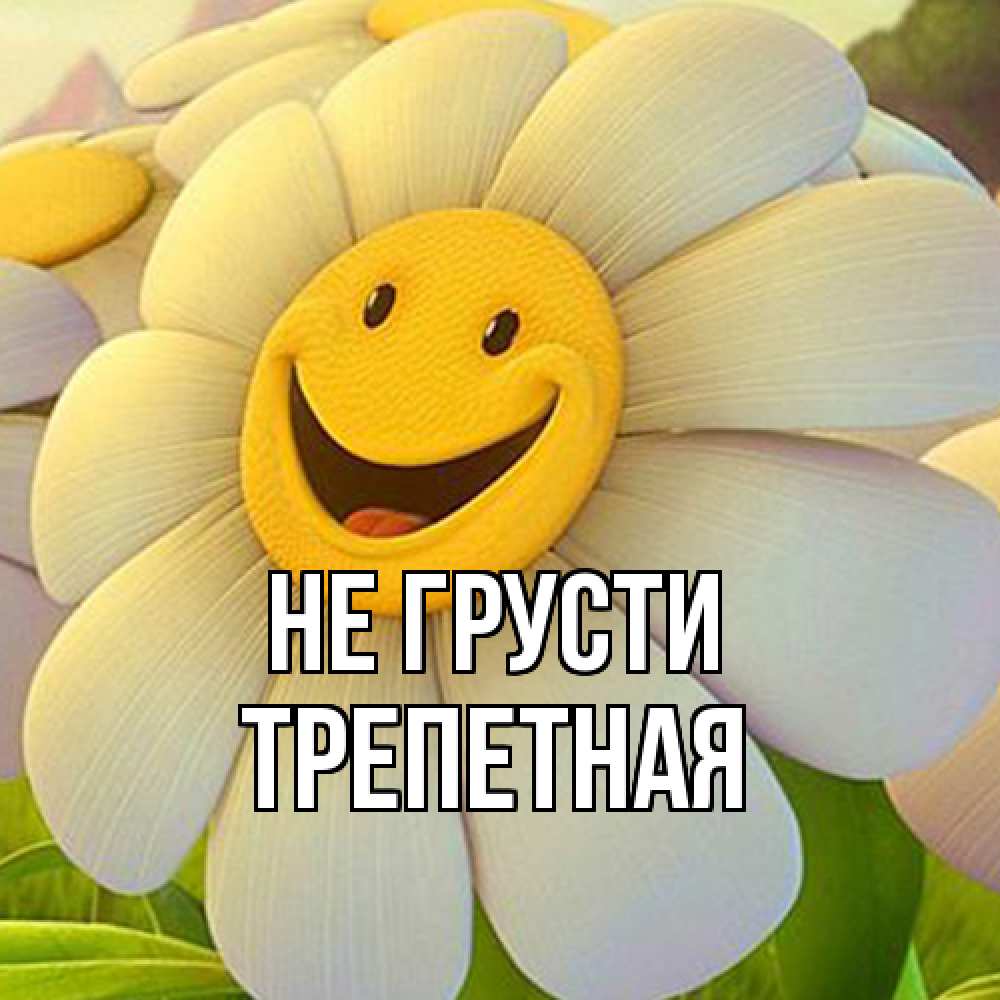 Открытка на каждый день с именем, Трепетная Не грусти огромная улыбающаяся ромашуща Прикольная открытка с пожеланием онлайн скачать бесплатно 