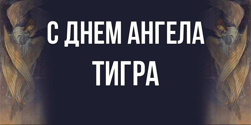 Картинка С днем ангела, Тигра