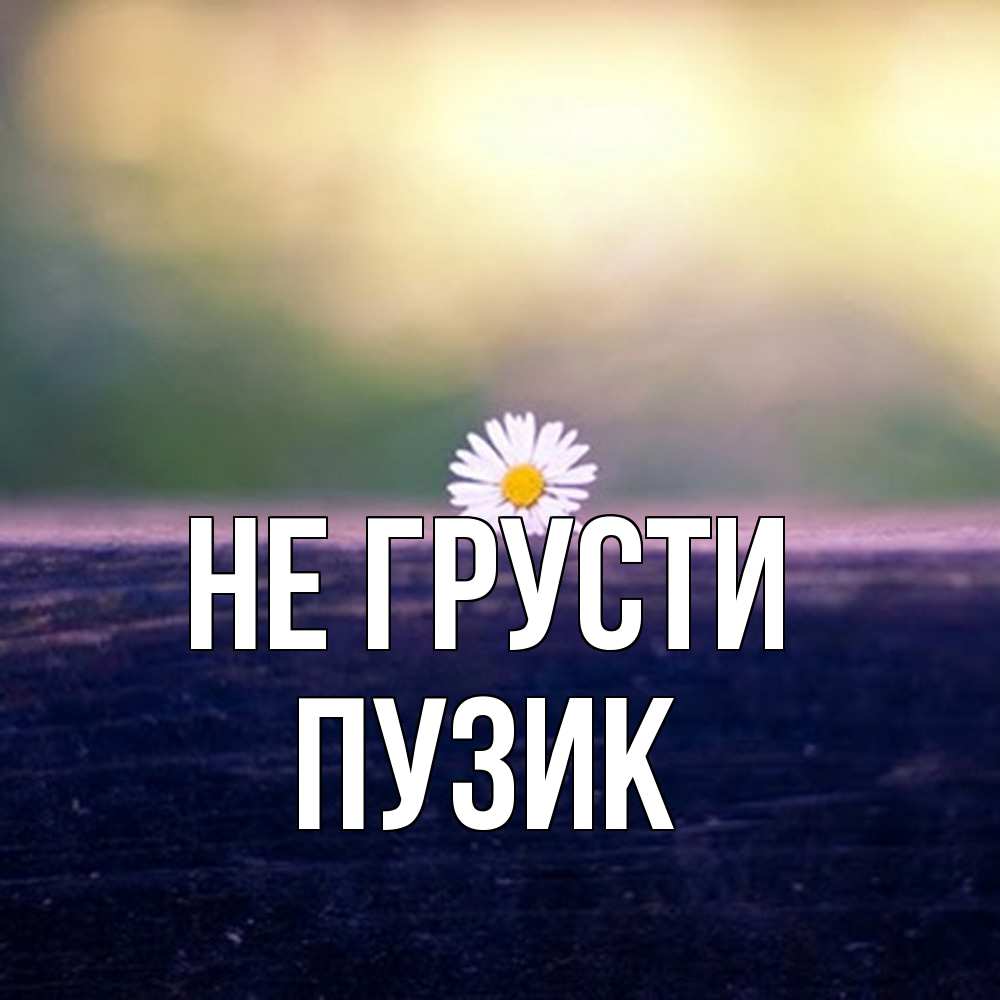 Открытка на каждый день с именем, Пузик Не грусти красота Прикольная открытка с пожеланием онлайн скачать бесплатно 