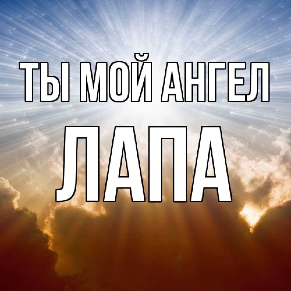 Открытка на каждый день с именем, Лапа Ты мой ангел ангельский свет на небе Прикольная открытка с пожеланием онлайн скачать бесплатно 