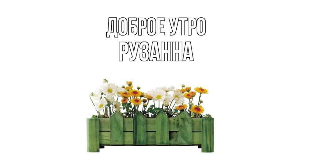 Открытка на каждый день с именем, Рузанна Доброе утро цветы Прикольная открытка с пожеланием онлайн скачать бесплатно 