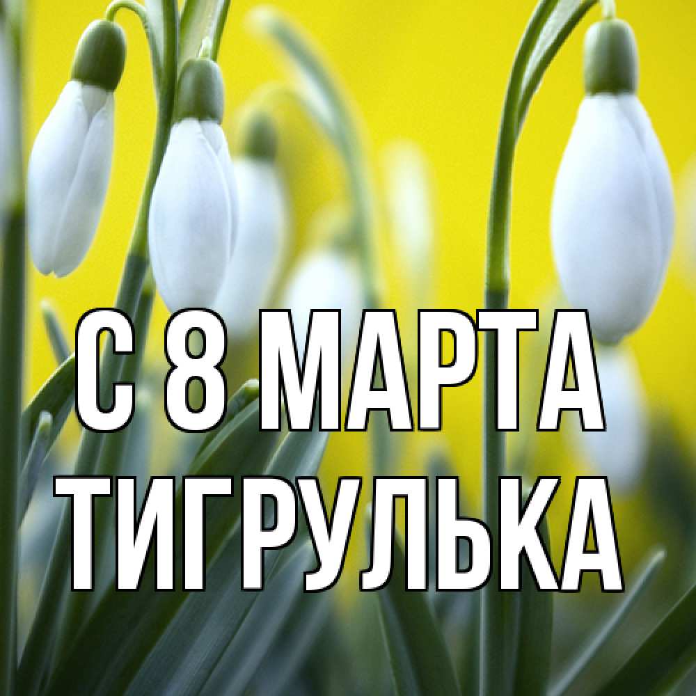 Открытка на каждый день с именем, тигрулька C 8 МАРТА весенние цветы Прикольная открытка с пожеланием онлайн скачать бесплатно 